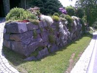 Steinmauer bepflanzt_1